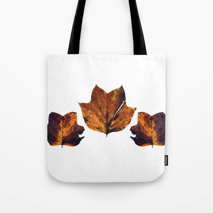 3 autumn leaves Tote Bag