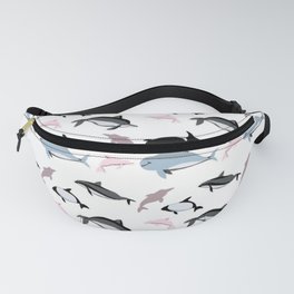 Dolphins Fanny Pack