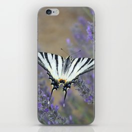 Stunning Swallowtail On Lavender Spike Photograph iPhone Skin