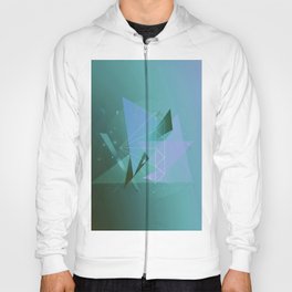 Abstract Shapes Hoody