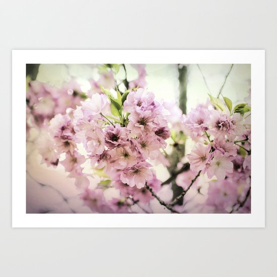 vintage cherry blossom Art Print