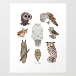 Owl Pattern Art Print