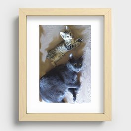 Kitty see kitty do... Recessed Framed Print