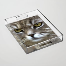 Stunning Grey Cat Pet Artistic Portrait Acrylic Tray