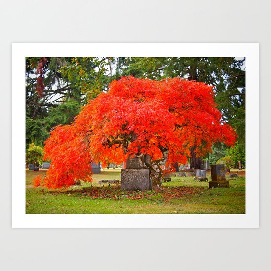 Autumn red Art Print
