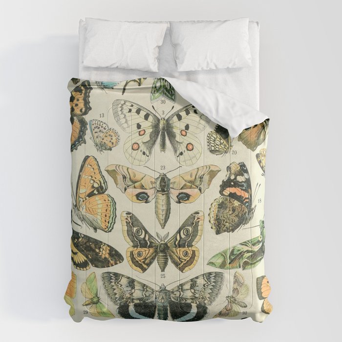 Moth and Butterfly Art, Vintage Wall Decor, Cute Cottagecore Design, Nature Paintings  - Butterfly Comforter