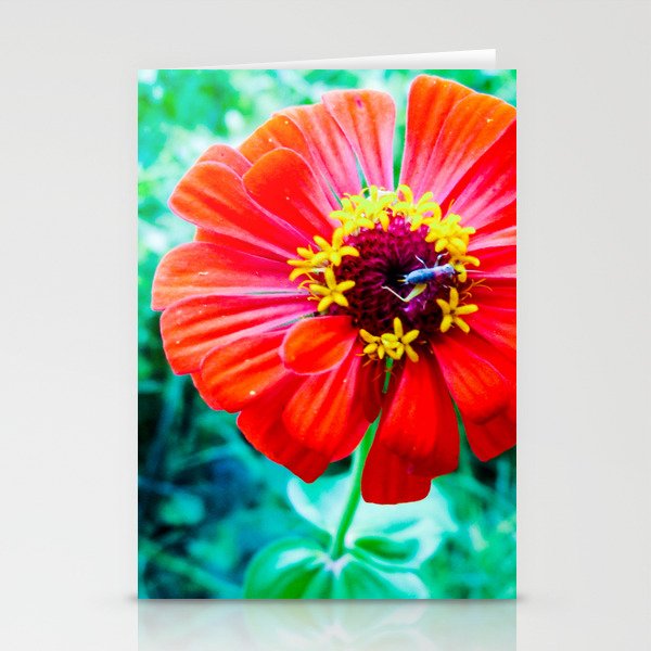 Bug on Red Flower Stationery Cards