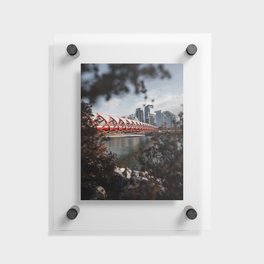 Calgary Peace Bridge Floating Acrylic Print