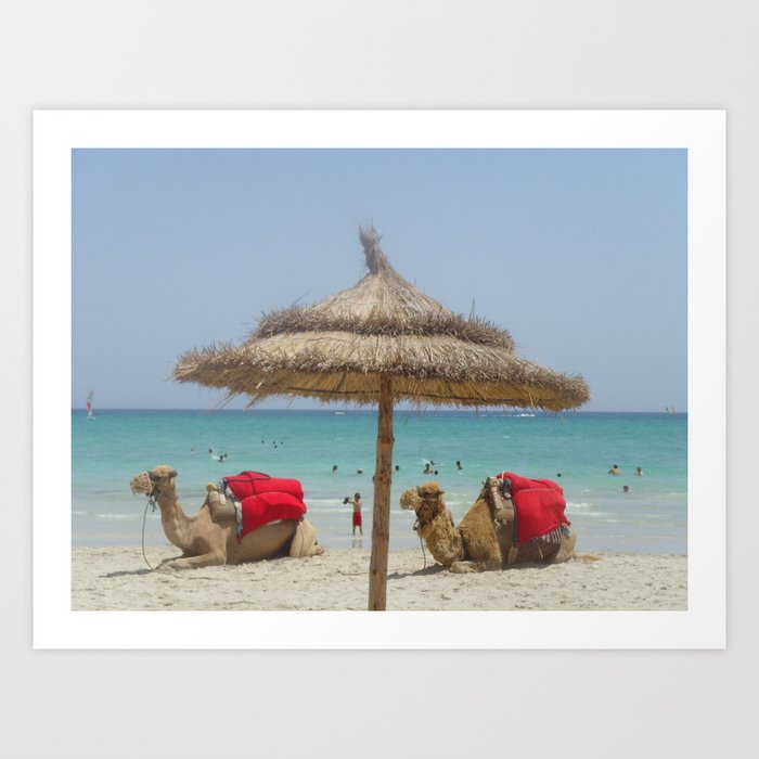 Camels on the beach  Art Print