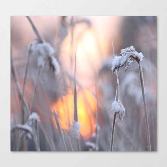 Sunny Winter Day Canvas Print