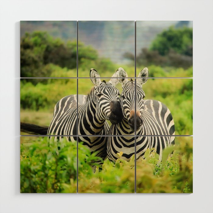 South Africa Photography - Two Zebras In Love Wood Wall Art