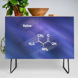 Valine (l-valine, Val, V) amino acid, chemical structure Credenza
