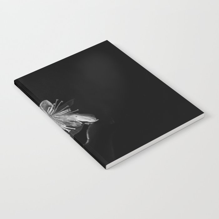 Minimalistic Black and white photography of a cactus flower Notebook