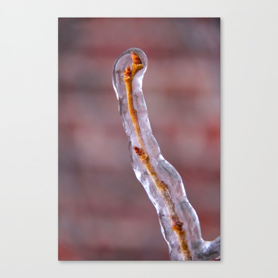 Frozen Canvas Print
