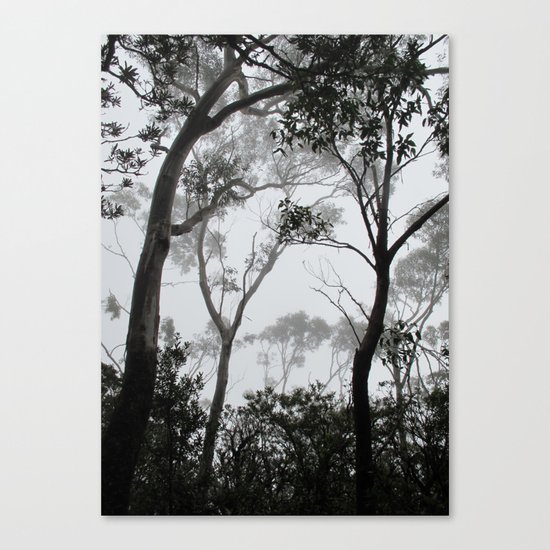 A Walk in the Clouds #1 Canvas Print