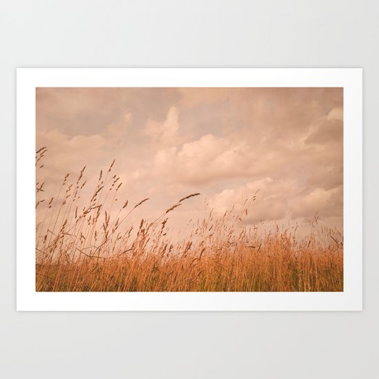 meadow I Art Print