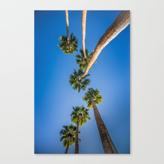 Upside Down LA Palms Canvas Print