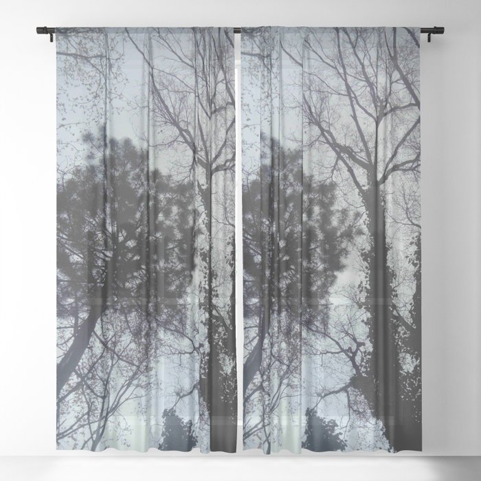 Sky and tree 3 Sheer Curtain