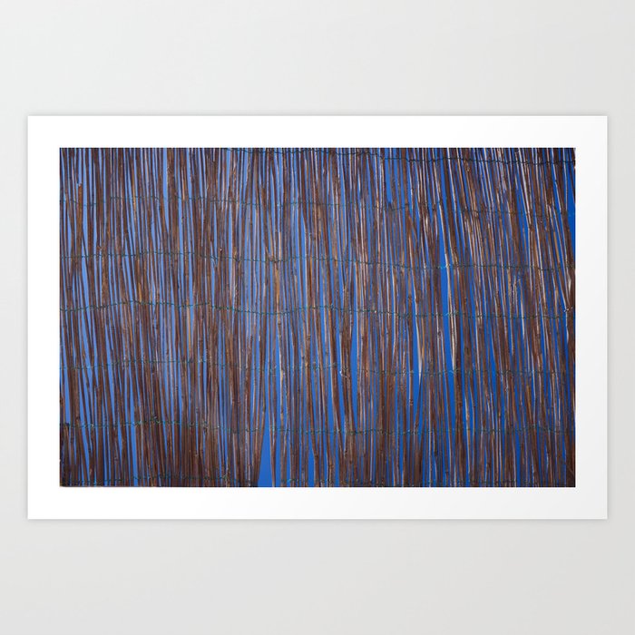 Bamboo-Sky Art Print