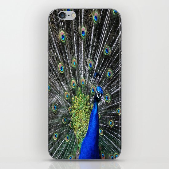 Peacock iPhone & iPod Skin