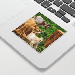 Baby Goats Playing Sticker