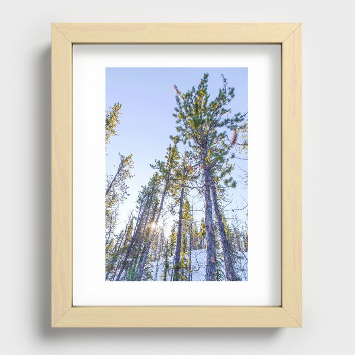 Sunset in the forest Recessed Framed Print
