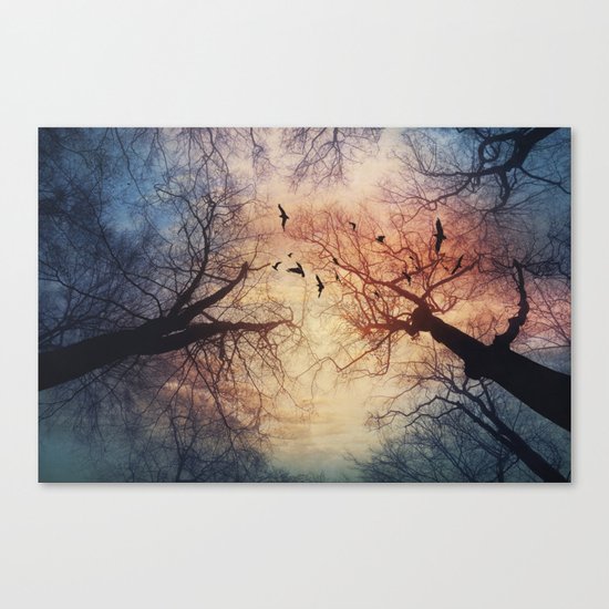 phenomenons Canvas Print