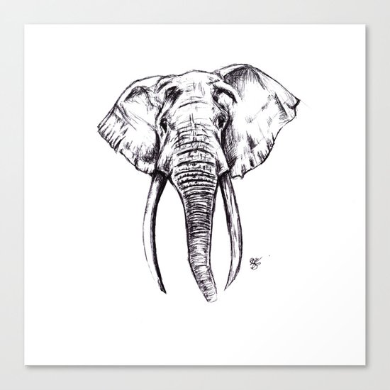 Elephant Drawing Canvas Print