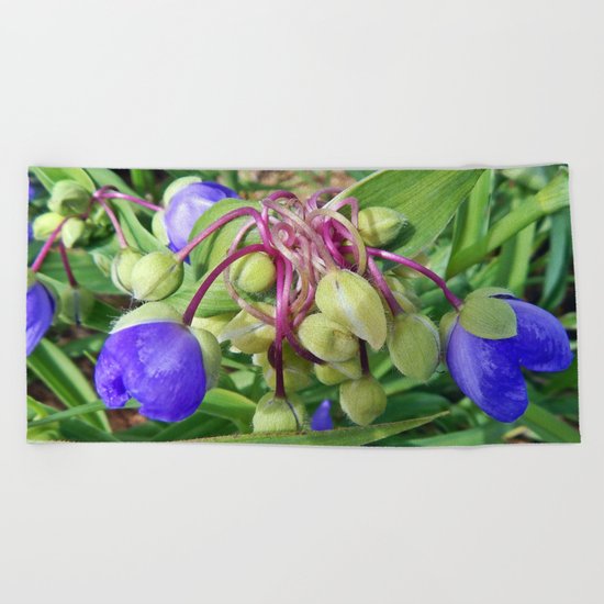 Spiderworts Flower Stems Beach Towel