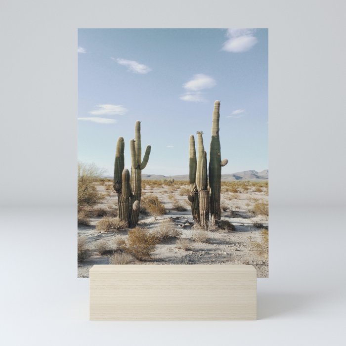 Groups of Saguaros - iPhone Print Mini Art Print