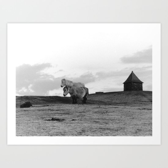 Two Dartmoor ponies in the early morning Art Print