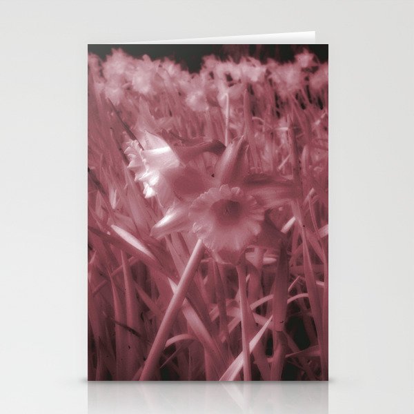 Infra-Red Daffodils Stationery Cards