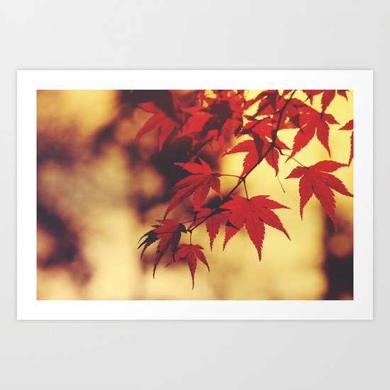 Indian Summer 3 Art Print