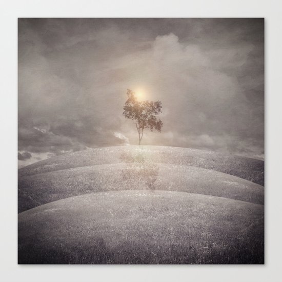 The lone tree Canvas Print