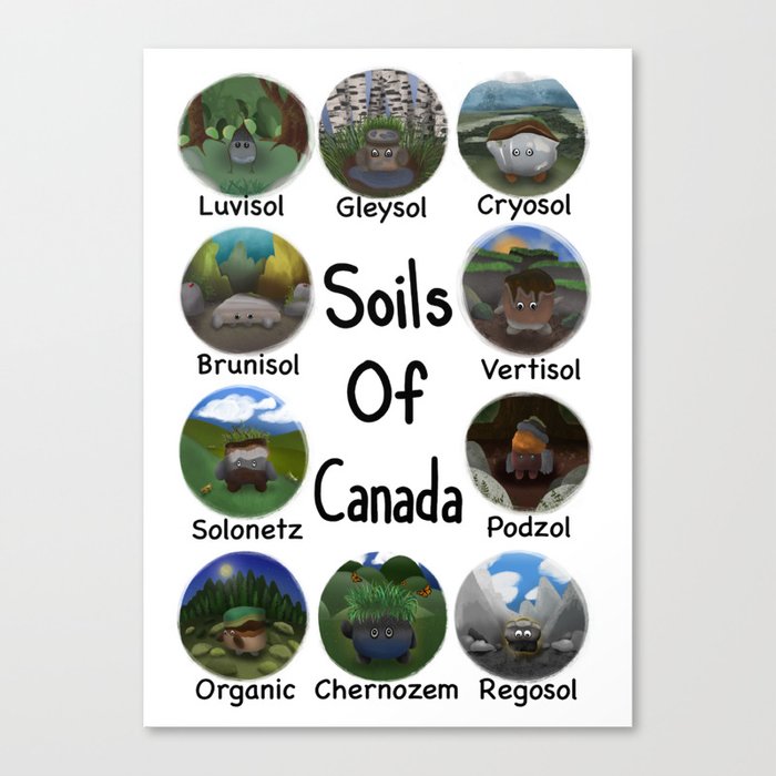 Soils of Canada Illustration Canvas Print