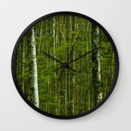 Nature photography. Irati Forest, Navarra. Spain. Wall Clock