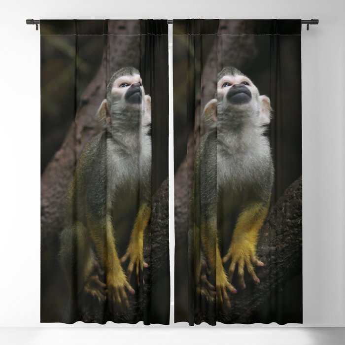 Golden spider monkey Blackout Curtain