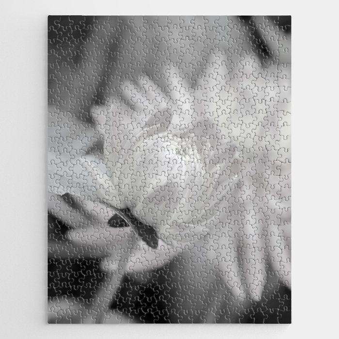 Silver Grey Dahlia in Black And White Jigsaw Puzzle