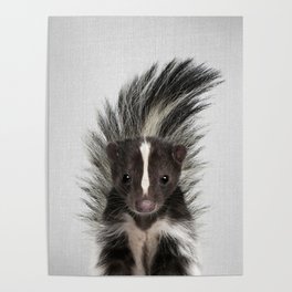 Skunk - Colorful Poster
