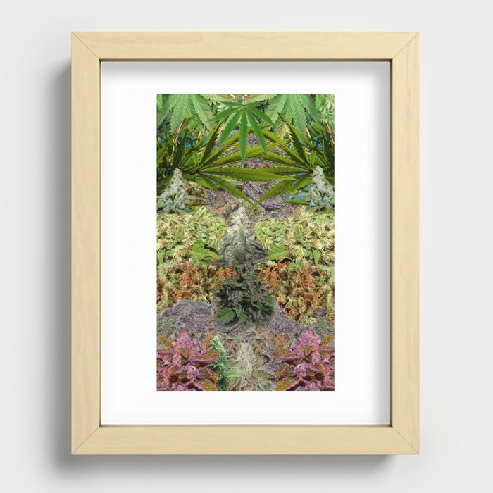 Marihuanaaas Recessed Framed Print