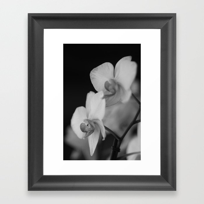 Orchid 2 Framed Art Print