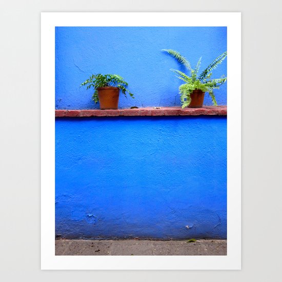 Standing sentry at La Casa Azul Art Print
