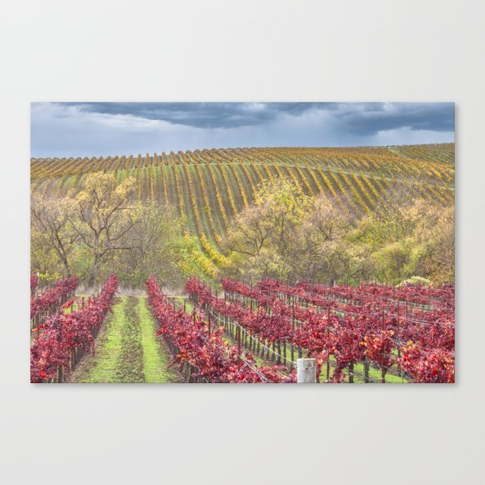 Autumn Vines Canvas Print