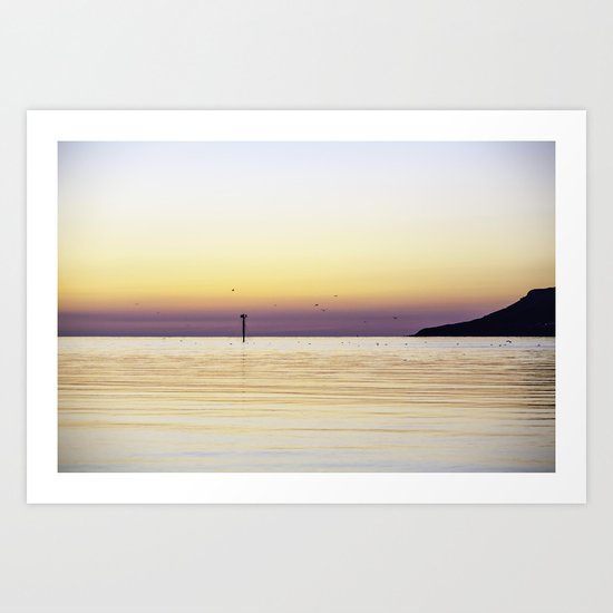 Seagulls at Sunset Art Print