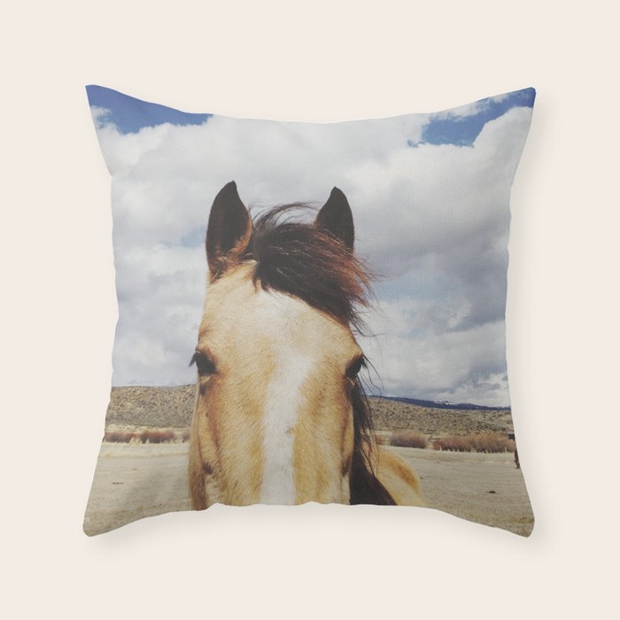 Cloudy Horse Head Throw Pillow by Kevin Russ Society6