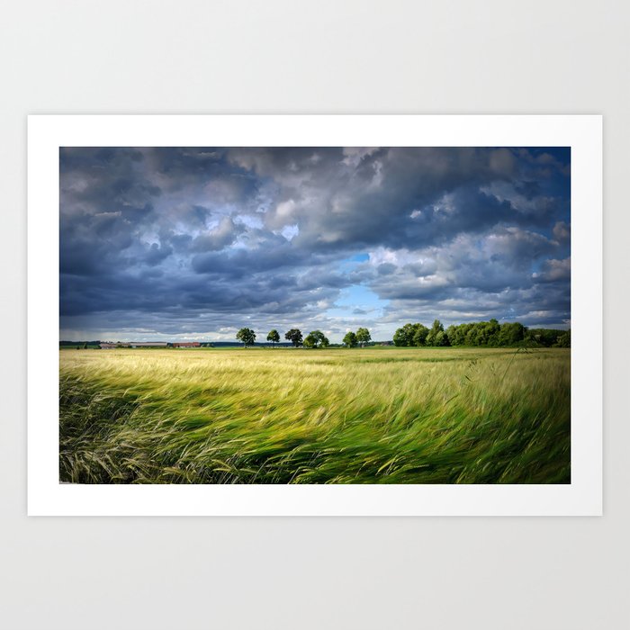 a cloudy afternoon Art Print