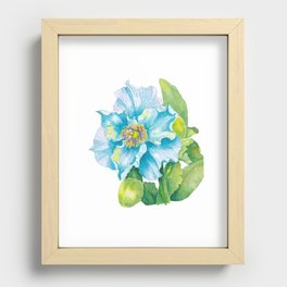 blue poppy Recessed Framed Print