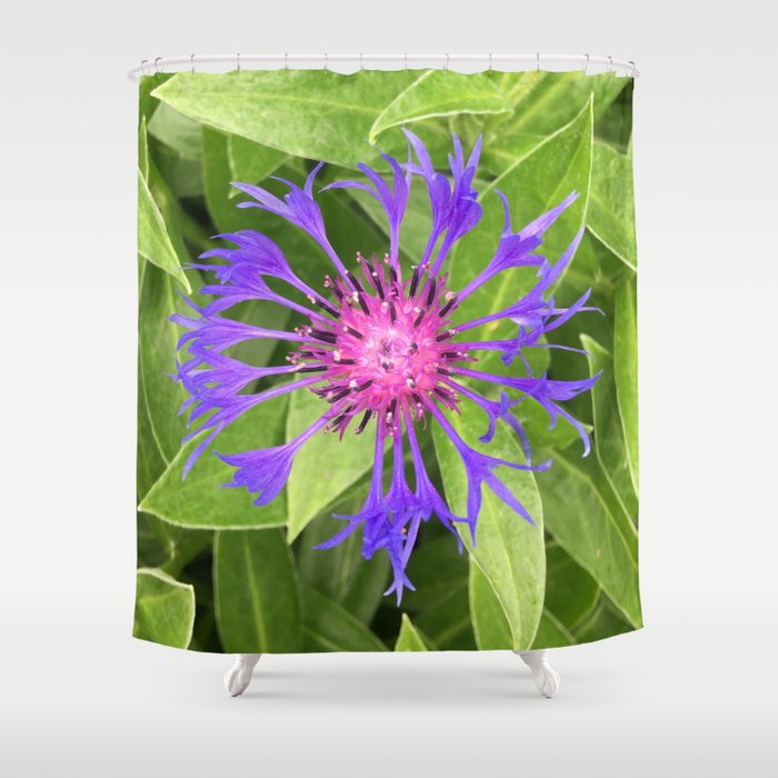 Prettiest Purple Shower Curtain By Marialindemann Society6