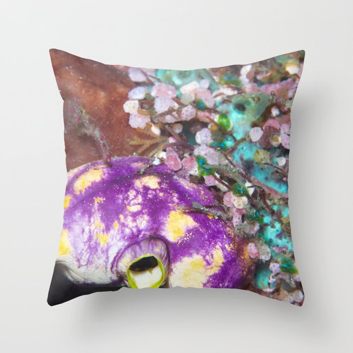 Sea squirts and sponges Throw Pillow