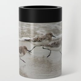 Sandpipers Can Cooler